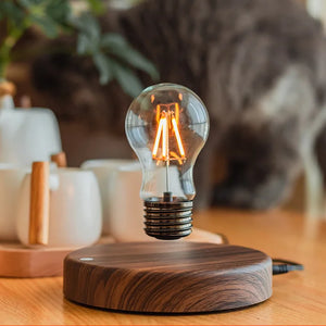 Magnetic Levitation Floating Lamp