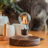 Magnetic Levitation Floating Lamp