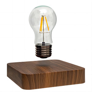 Magnetic Levitation Floating Lamp